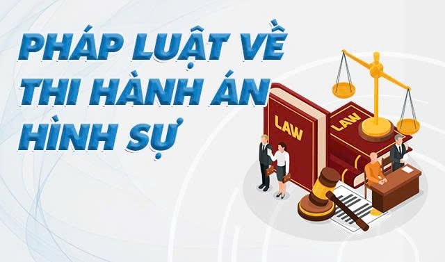  Pháp luật về Thi hành án hình sự